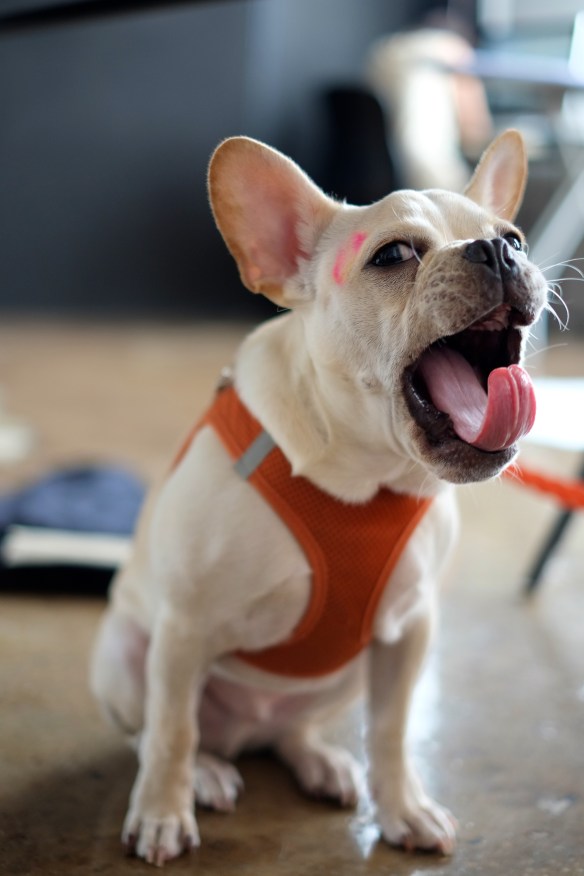 DSCF2866 - Version 2